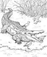 A coloring page of nature in africa